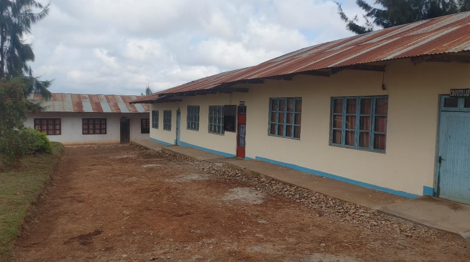 Vocational Training for unemployed youth and ex-prisoners in Songea, Tanzania
